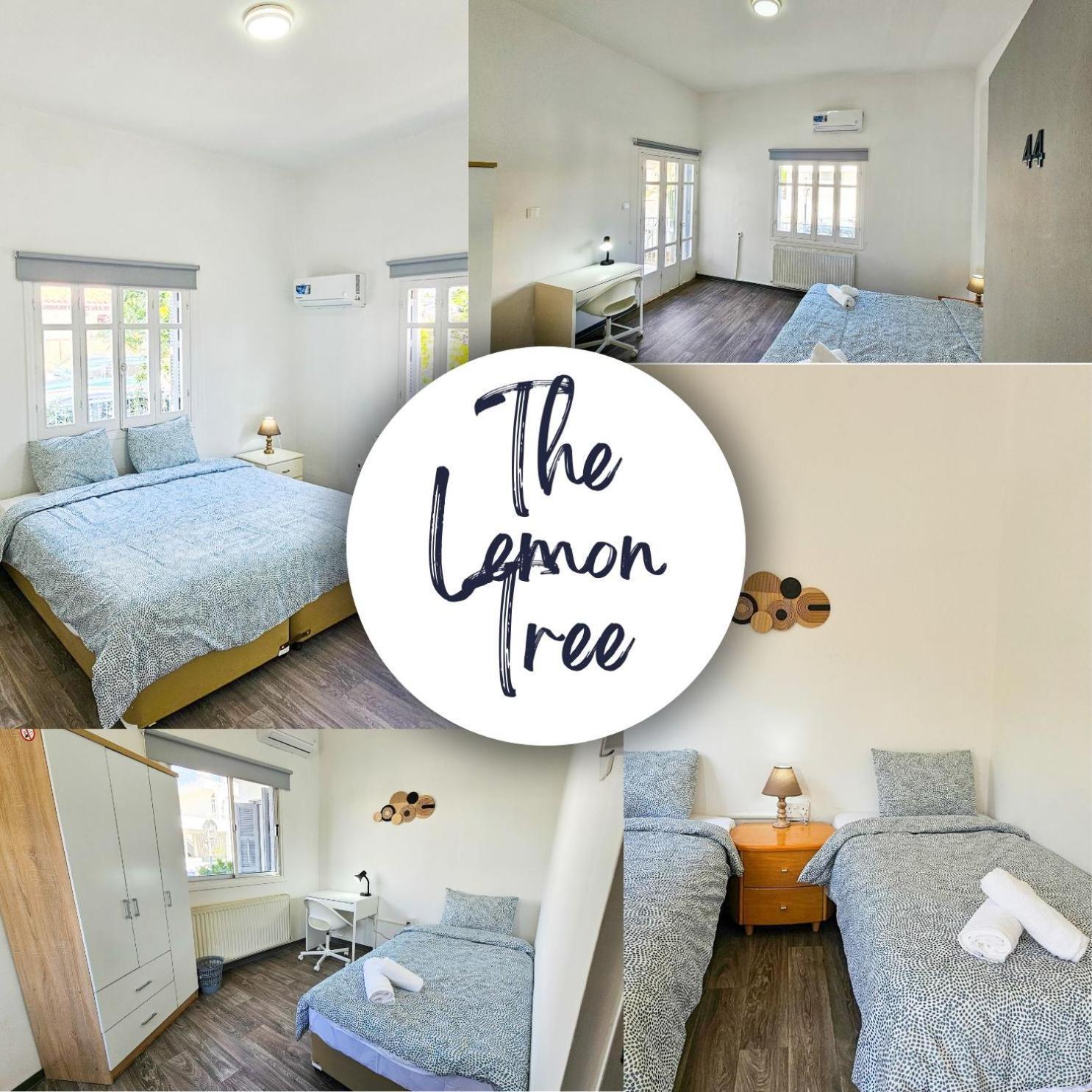 The Lemon Tree Hostel Larnaca Exterior photo